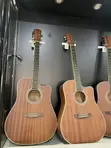 Ibanez Professional Acoustic Guitar - Brand New - 2