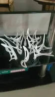 3D Printing Service with Kobra X Printer - 5