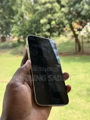 Apple iPhone 14 Pro Max 256GB White