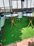 Hotel and Restaurant Smart Grass Carpet - 2