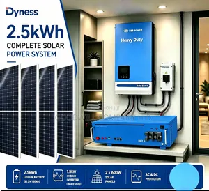 Dyness 2.5kWh Hybrid Solar System (1.5kVA)