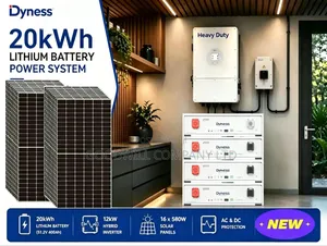 20kWh 12kVA 48V Dyness Hybrid Solar System