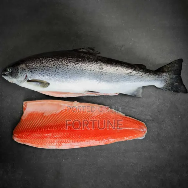 Premium Boneless Fish - Ready to Cook - 1