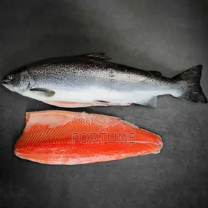 Premium Boneless Fish - Ready to Cook