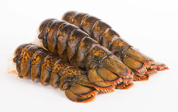 Lobster Fish - Kilogram - 1