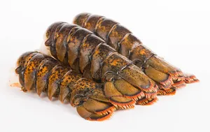 Lobster Fish - Kilogram