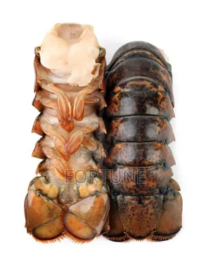 Premium Whole Lobster - 1 Kilogram