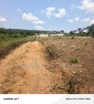 Affordable Plots for Sale in Buwalula, Mityana Road