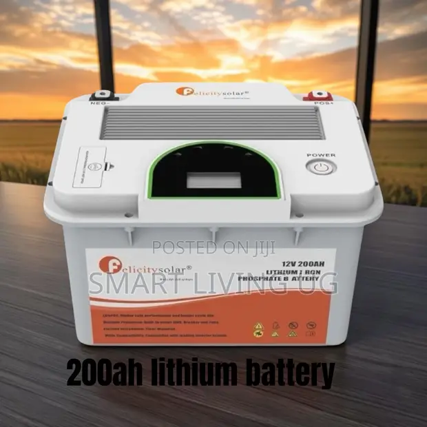 Heavy-Duty 200Ah 12V Felicity Lithium Battery for Backup Systems - 1