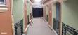 2-Bedroom Duplex for Sale in Nansana - 3