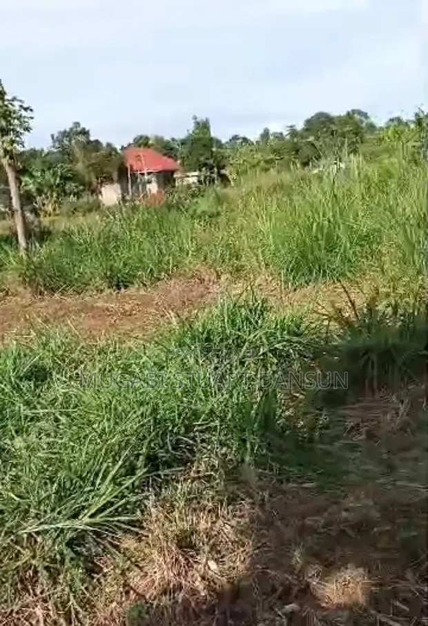 3 Plots for Sale in Kasanjje Ziba - 1