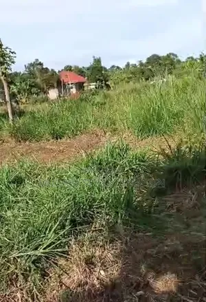 3 Plots for Sale in Kasanjje Ziba