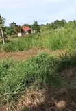 3 Plots for Sale in Kasanjje Ziba - 1