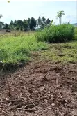 3 Plots for Sale in Kasanjje Ziba - 2
