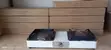 Double Burner Bioethanol Cookstove - 2