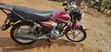 TVS HLX 125 2024 Red - 4