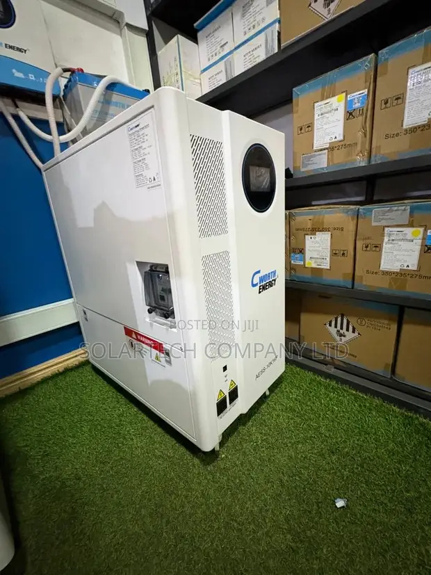 Cworth 16kWh 51.2V Hybrid Energy Storage Power Station - 1