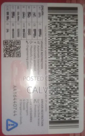 Professional Driver CV - Calvin