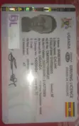 Professional Driver CV - Calvin - 2