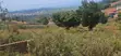 Land for Sale - Buwate - 2