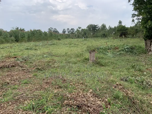 520 Acres Farm Land for Sale in Kikyusa - 1
