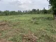 520 Acres Farm Land for Sale in Kikyusa - 1
