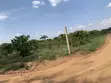 520 Acres Farm Land for Sale in Kikyusa - 2