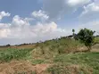 520 Acres Farm Land for Sale in Kikyusa - 5
