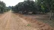 Garuga Land for Sale - 1 Acre with Lakeside View - 1