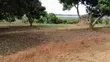Garuga Land for Sale - 1 Acre with Lakeside View - 3