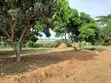 Garuga Land for Sale - 1 Acre with Lakeside View - 5