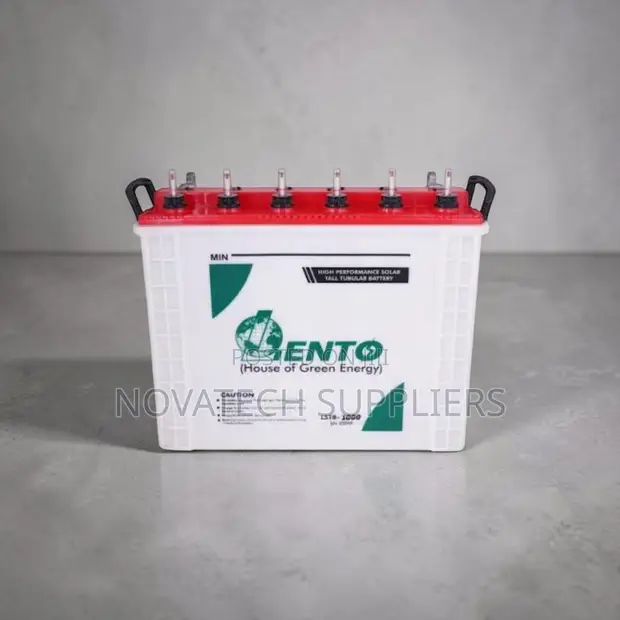 Heavy Duty Lento 200Ah 12V Tubular Battery for Solar - 1