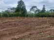 Plots for Sale in Namayumba - Starting from 3.5M UGX - 2