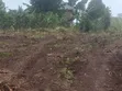 Plots for Sale in Namayumba - Starting from 3.5M UGX - 4