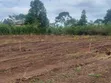Plots for Sale in Namayumba - Starting from 3.5M UGX - 5