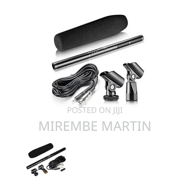 Professional Uni-Directional Electret Condenser Microphone Boom - 1