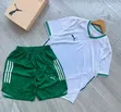 Baodis Puma Football Jerseys - Original Material - 1