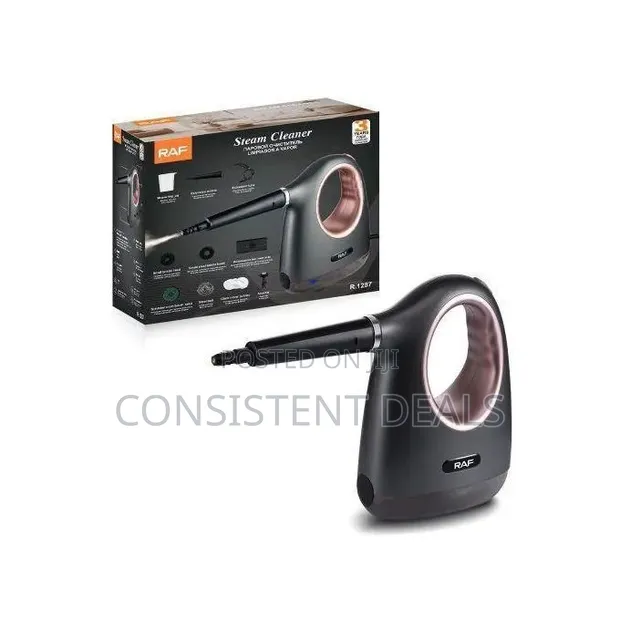 Raf Electric 300ml Steam Cleaner - 1