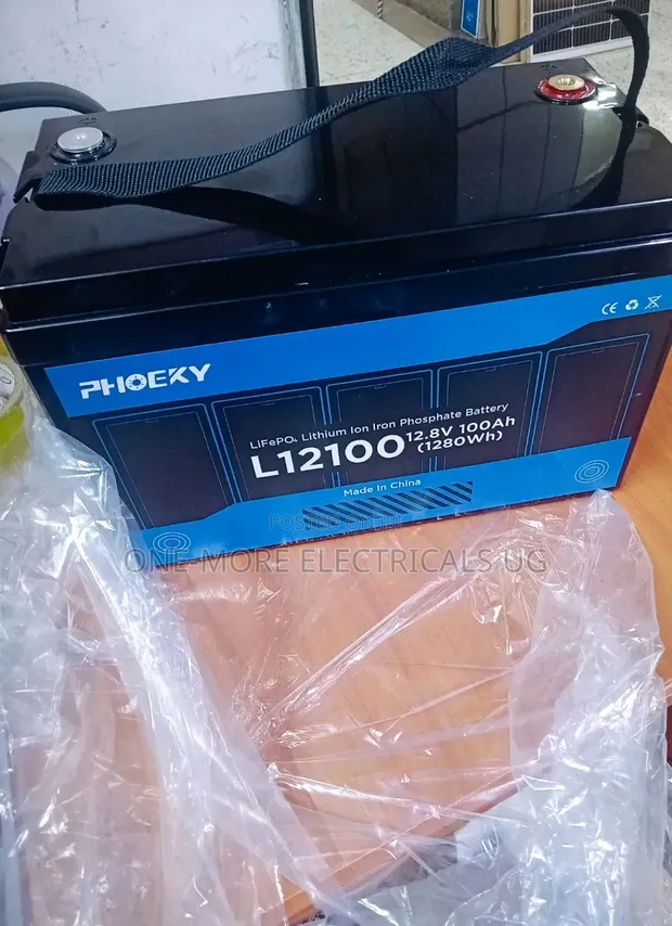 1280Wh 100Ah 12.8V Lithium Iron Phosphate Battery - 1