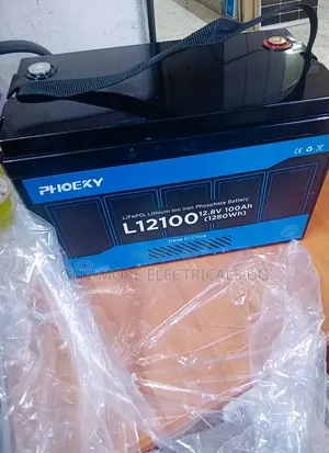 1280Wh 100Ah 12.8V Lithium Iron Phosphate Battery