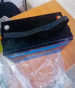 100Ah 12V Lithium Iron Phosphate Battery