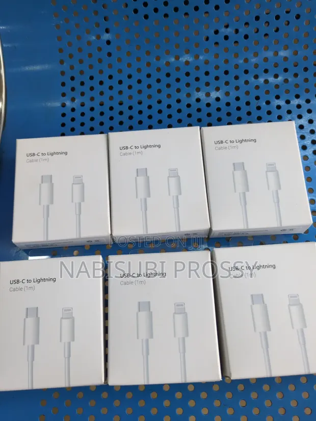 USB-C to Lightning Cable - 1