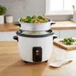 Globalstar 2.8L Electric Rice Cooker with Steamer - 3