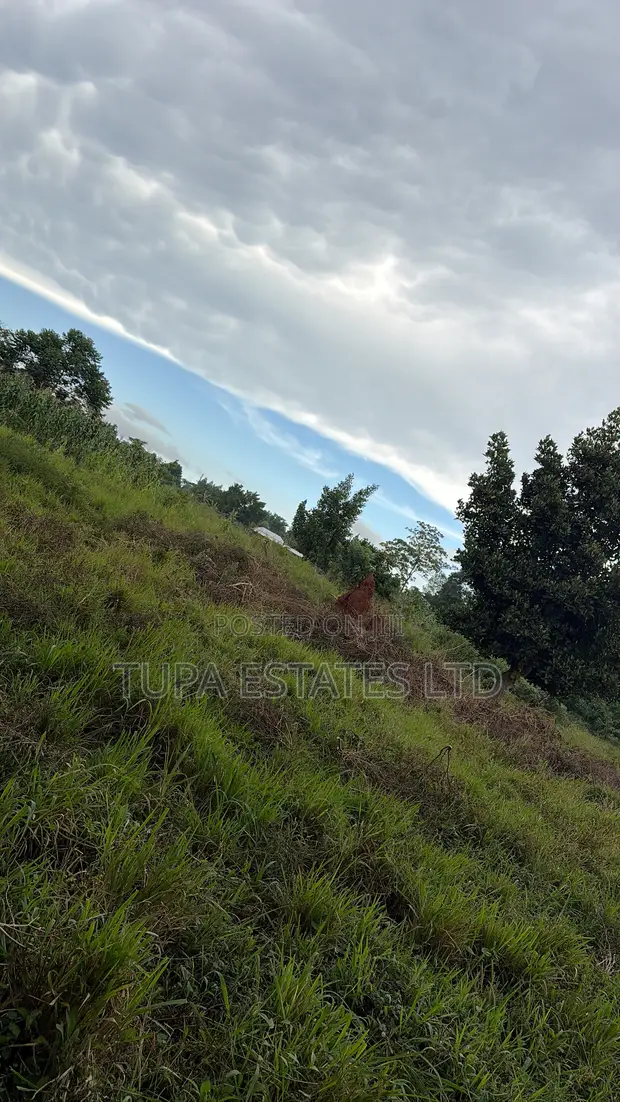 Plots for Sale in Mpoma, Mukono - 1