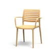 Espresso Plastic Chairs - Brand New - 2