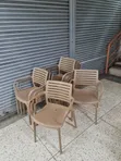 Umbra Spaced Back Plastic Chairs - 1