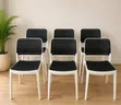 Terrace Indoor/Outdoor Plastic Chairs - Brand New - 1
