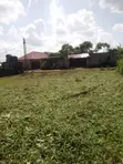 Prime Plot for Sale in Entebbe - 12.2 Decimals - 3