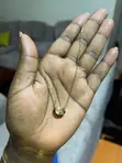 Golden Arc Stainless Steel Necklace for Ladies - 2