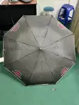 Branded Umbrellas for Promotion - 3